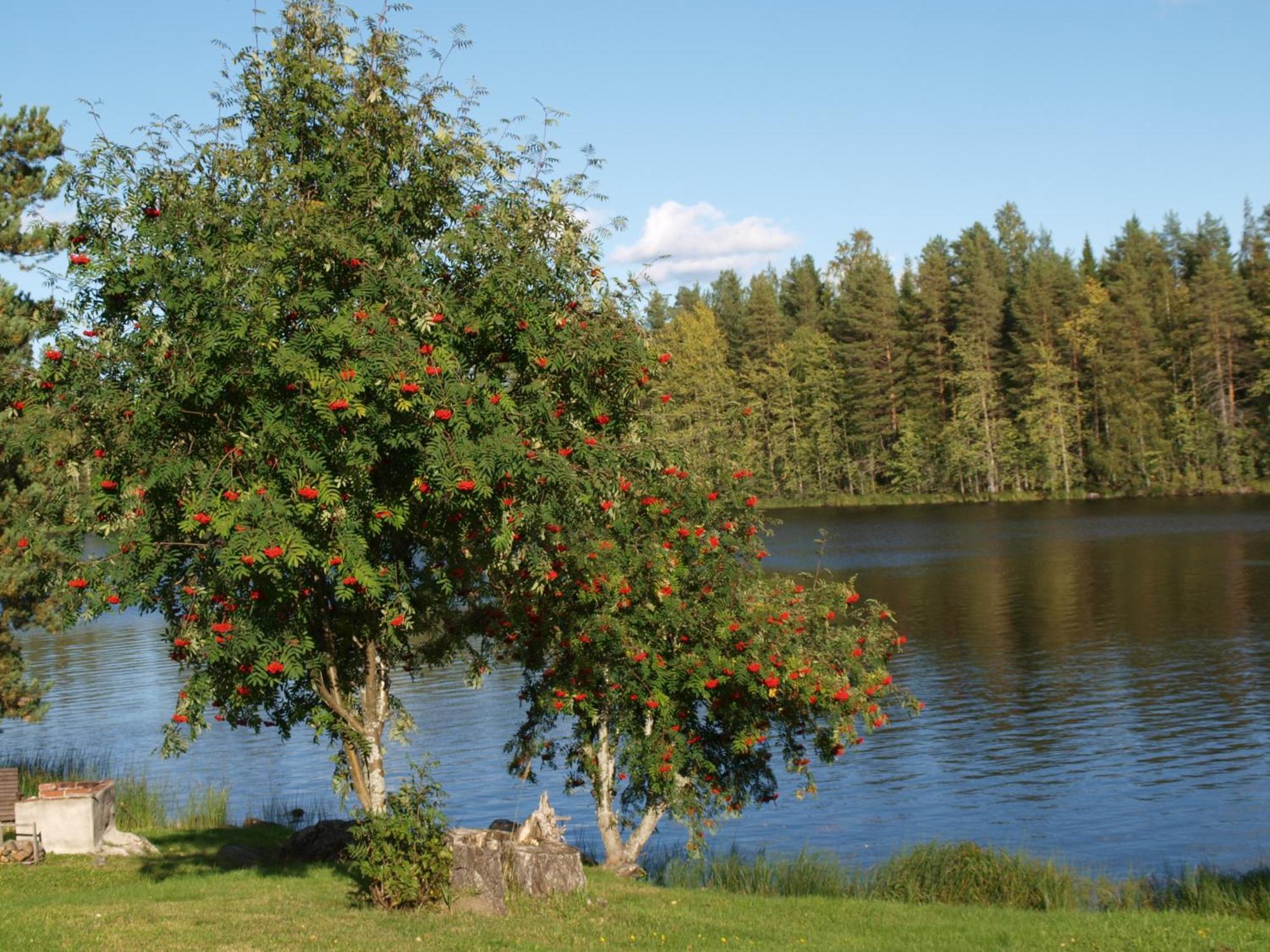 Loma-Rantala Cottages Tahkovuori Exterior photo